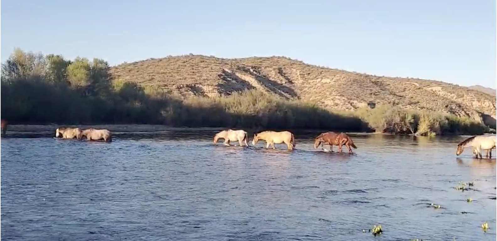 Crossing the river