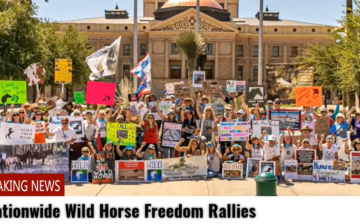 The movement is growing!