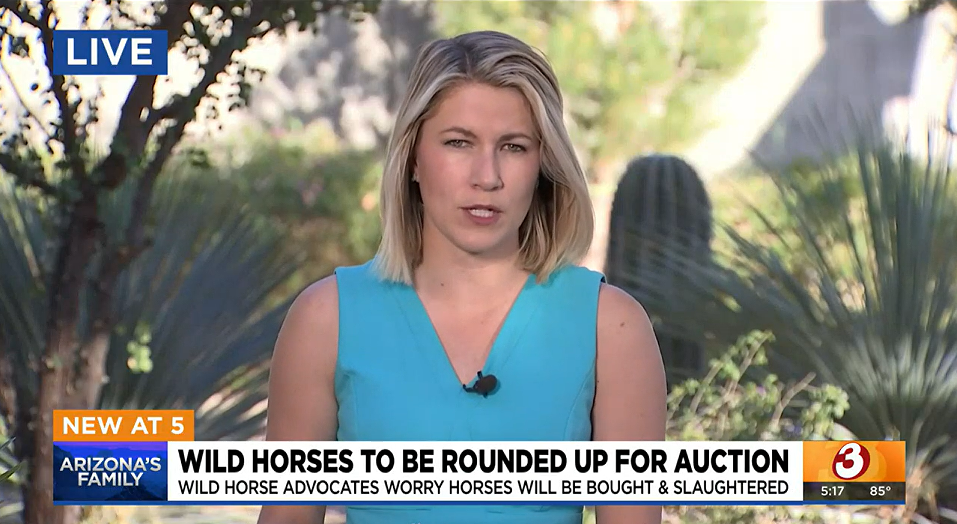BREAKING NEWS: Alpine wild horses to be removed and sold at public auction.