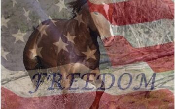 Freedom, never take it for granted.