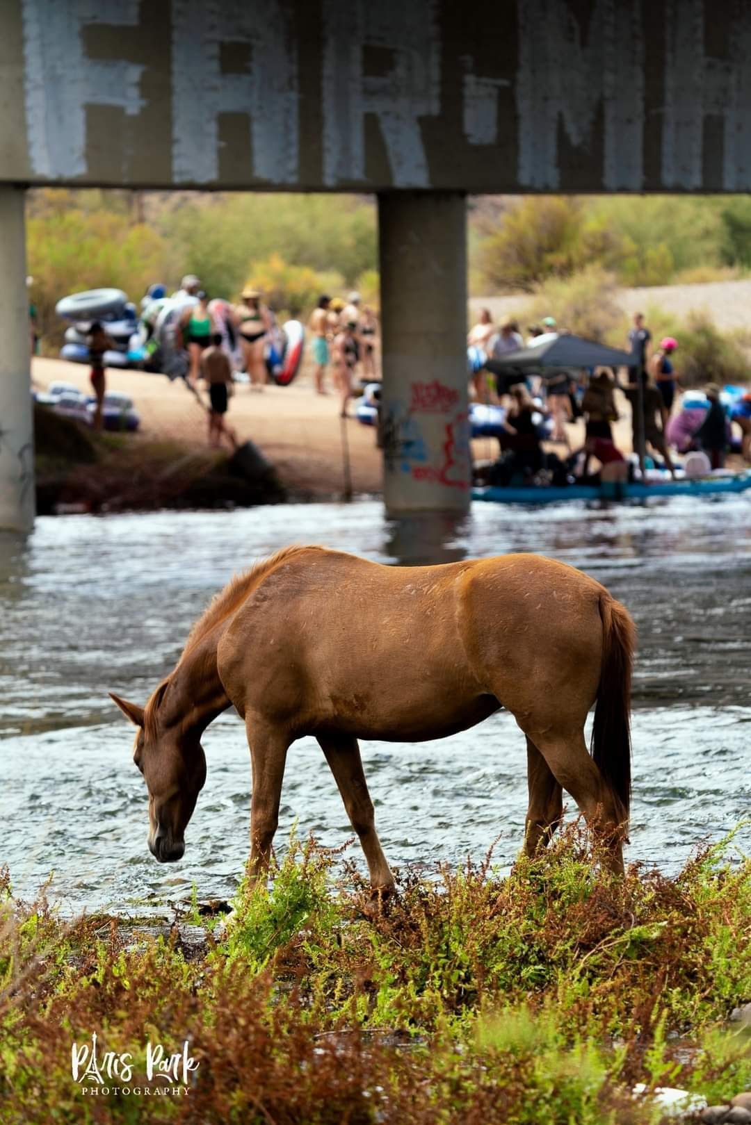 It is no small job to watch out for the horses and for people on a daily basis.