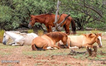 Enjoying the cool mornings? They do too.