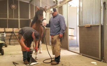 Check out Diamond’s foot care!