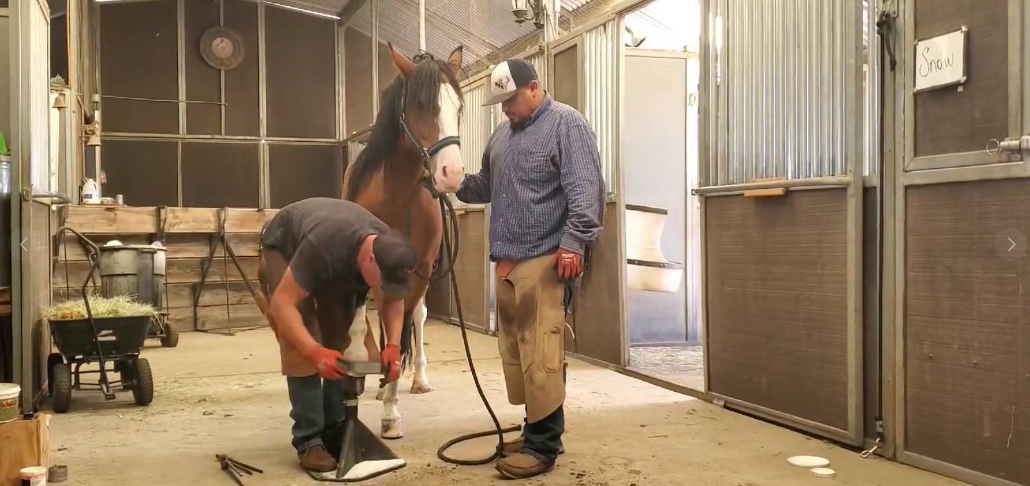 Check out Diamond’s foot care!