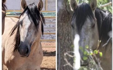 From the most beautiful home, to homeless.