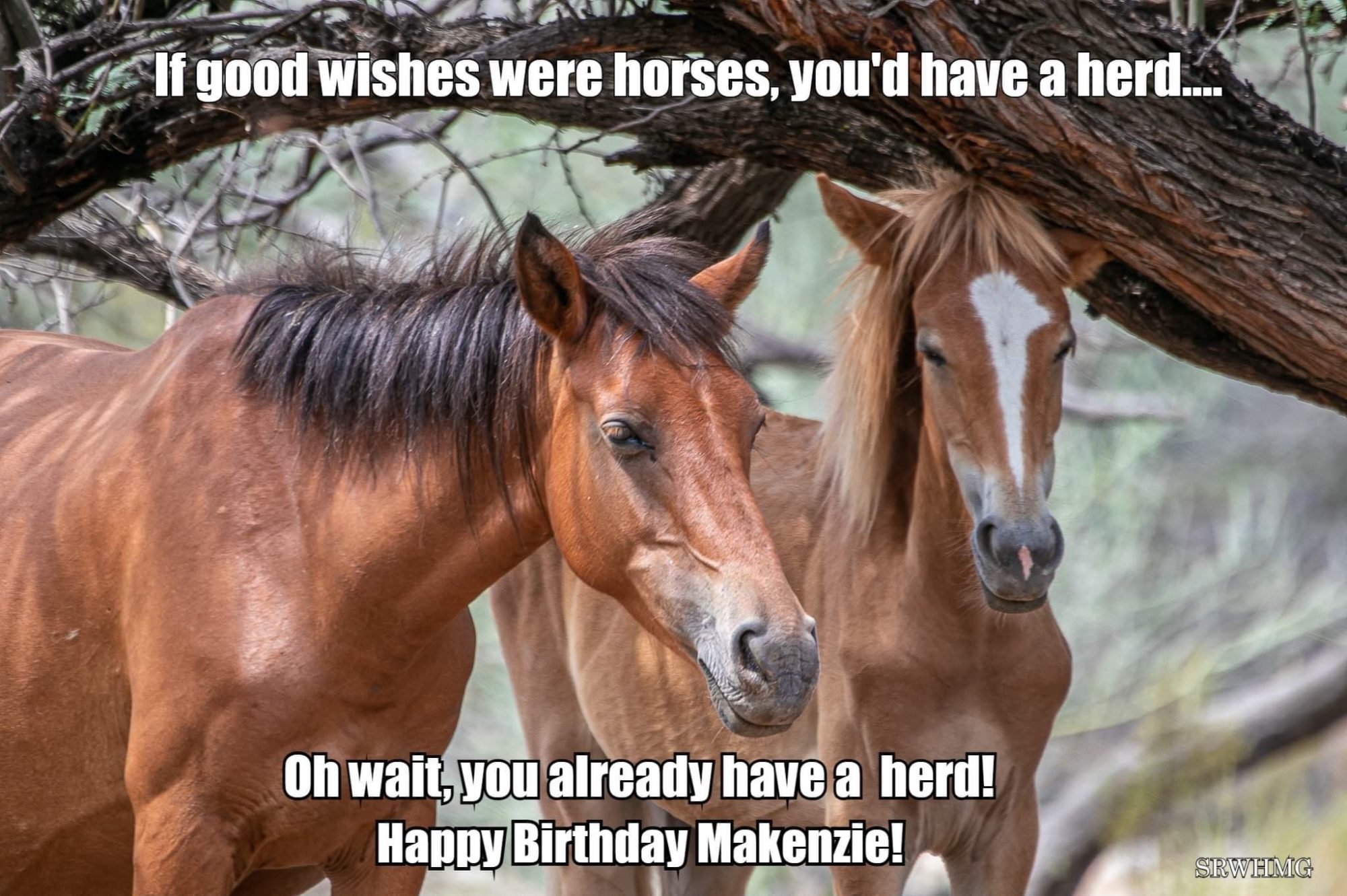 Happy Birthday, Makenzie!