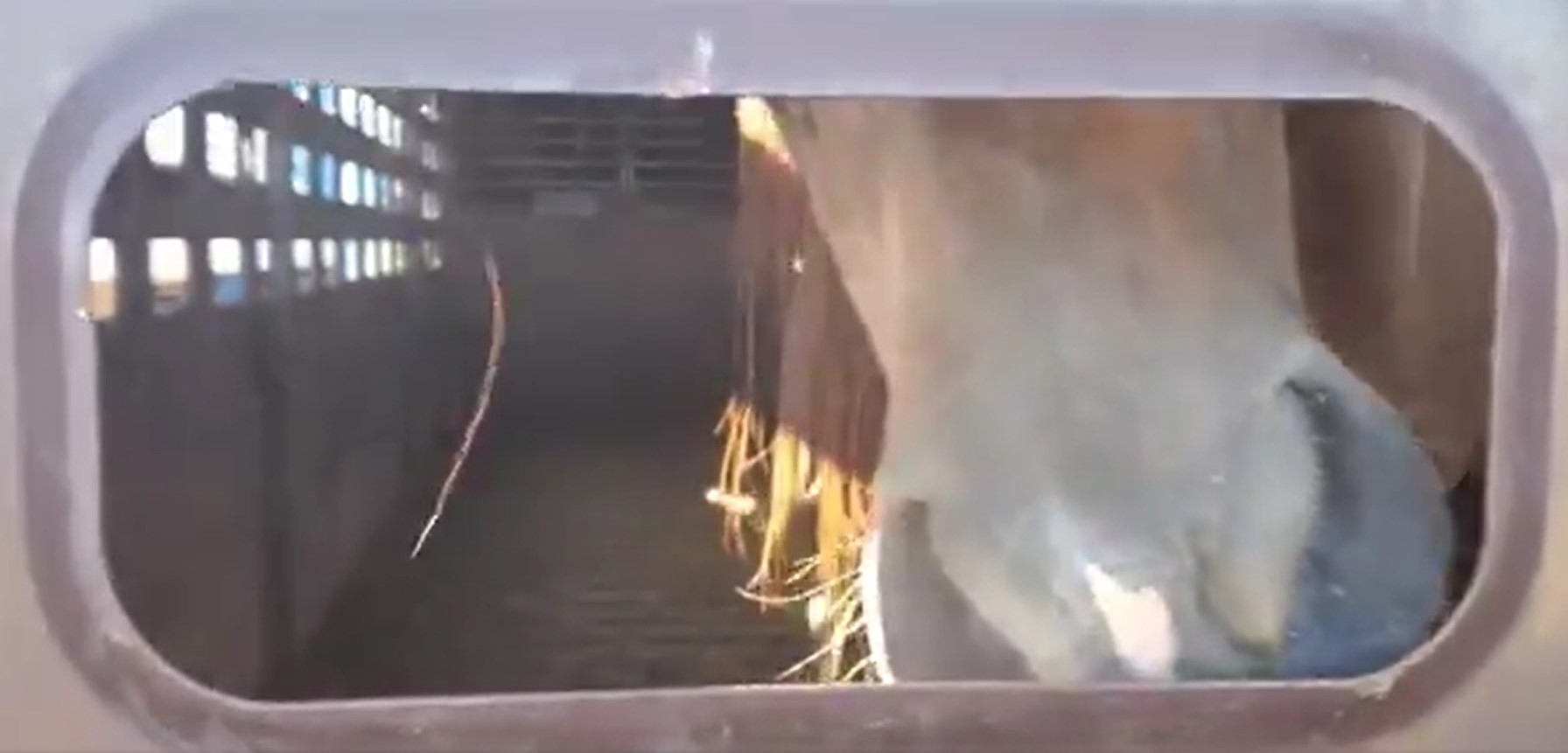 This is a killbuyer’s trailer- it’s both for cattle and horses.
