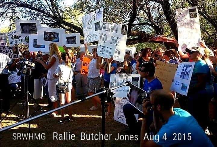 Today is August 4th, a real milestone and the anniversary of our rally to save the Salt River wild horses!
