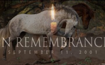 In Remembrance