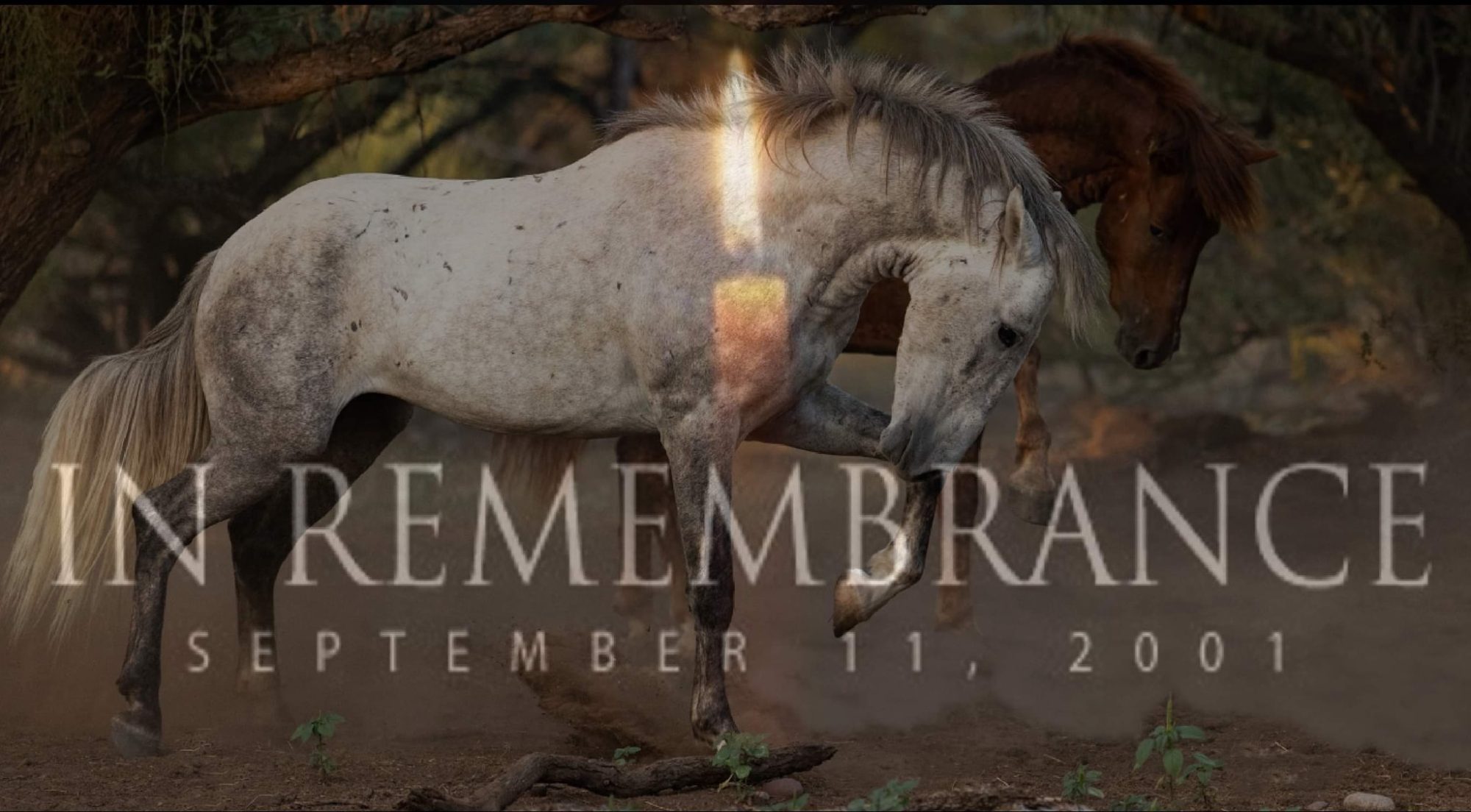 In Remembrance