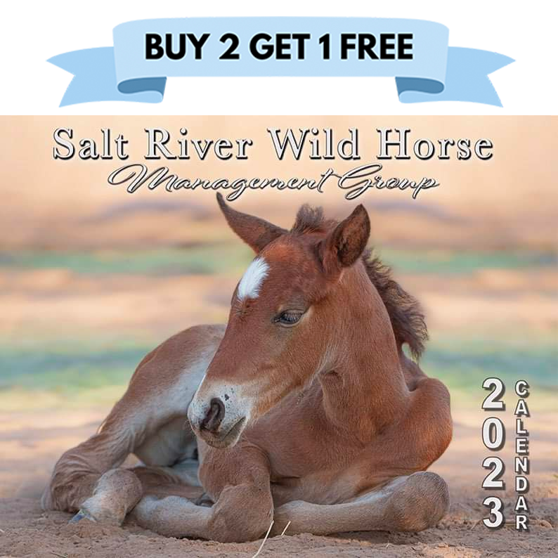 🐴 Buy 2 of our spectacular Wild Horse Calendars and get 1 FREE!