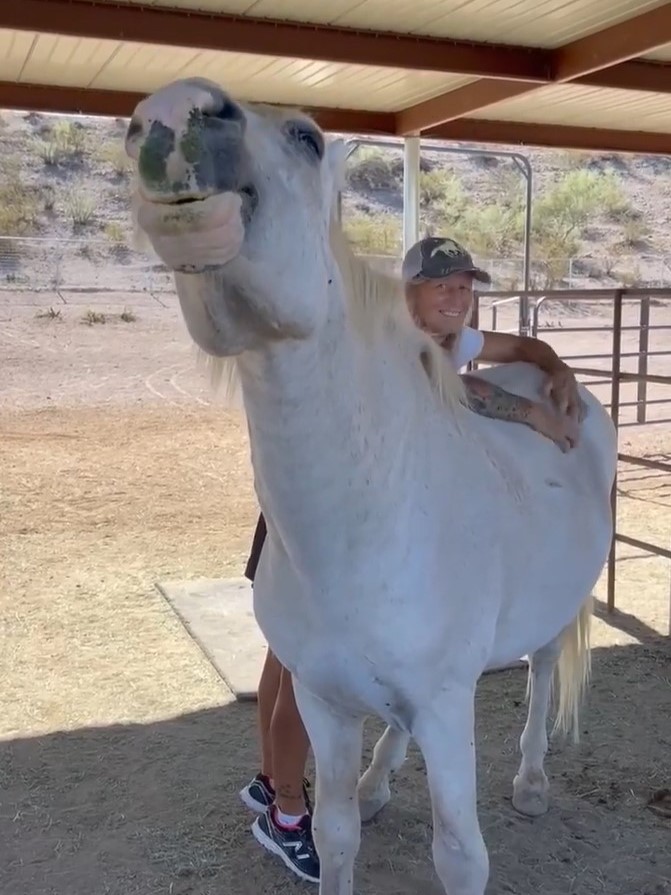 This is what retirement looks like for a beloved 25-30 yr old Salt River wild horse.