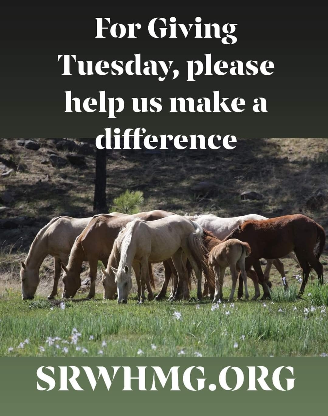 This GivingTuesday: Keeping families together, that’s what it’s all about!