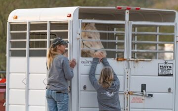 Someone thought it was a good idea to leave his/her horse behind for Christmas…