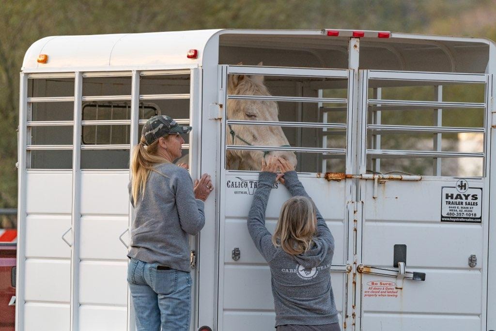 Someone thought it was a good idea to leave his/her horse behind for Christmas…