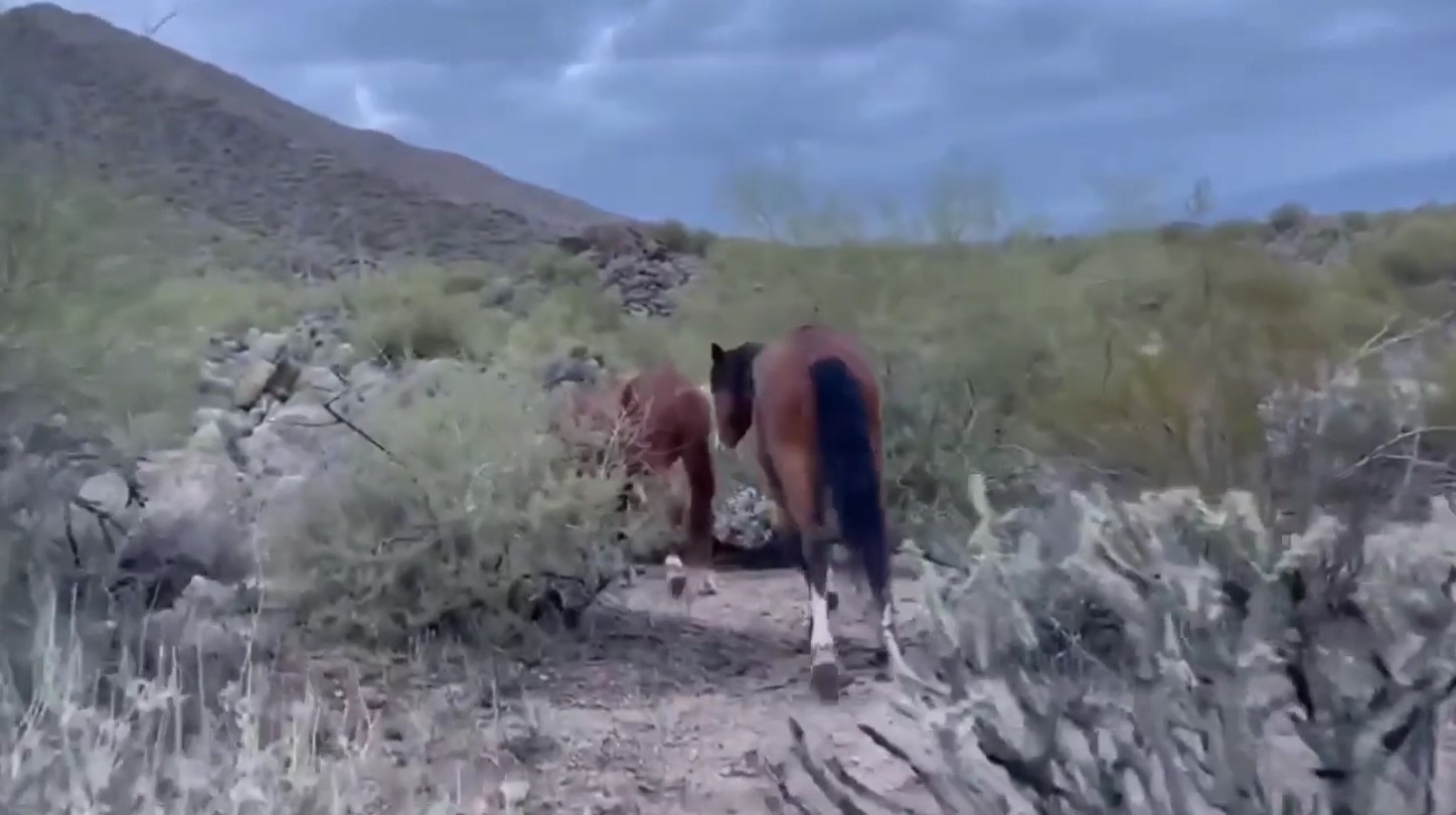 [Video] Volunteers walk Salt River boys back to the “safe zone”!