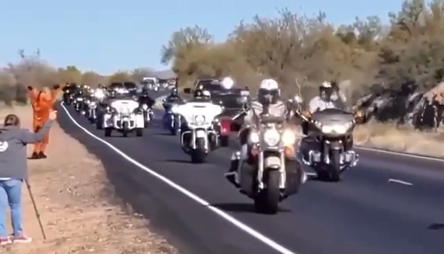 Have you ever heard this many people speak up for wild horses at the same time??!