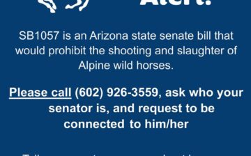 SPRING into ACTION for the Alpine wild horses because this bill is their very last chance!!!