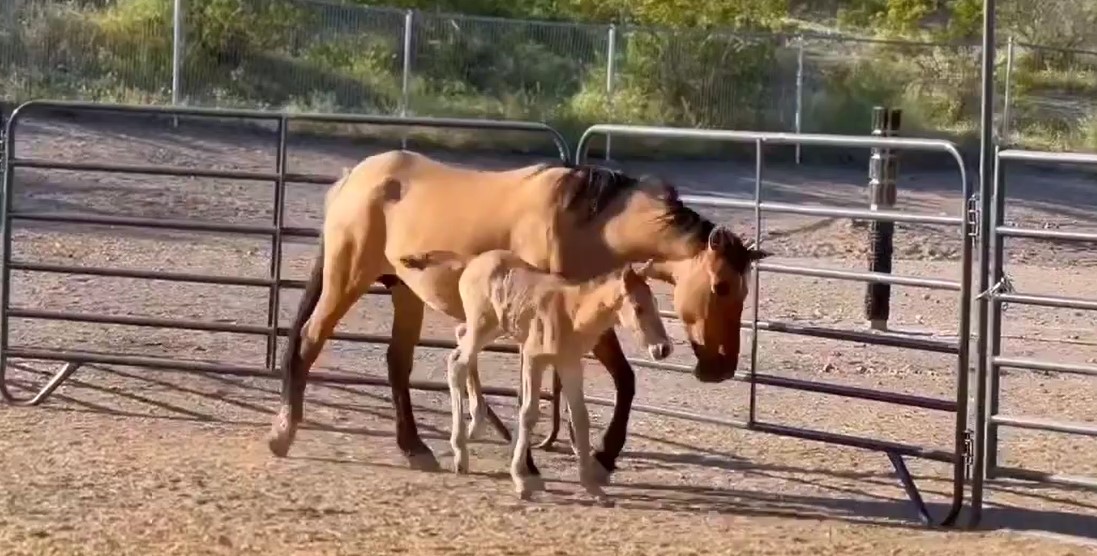 He will be loved. [video]