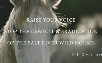 It’s time. Something’s gotta give.