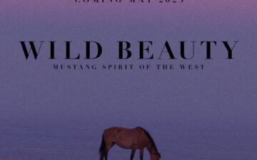 America’s wild horses – There is a better way!