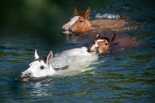 “This is their river much more than it is ours”