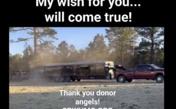 They are on their way!