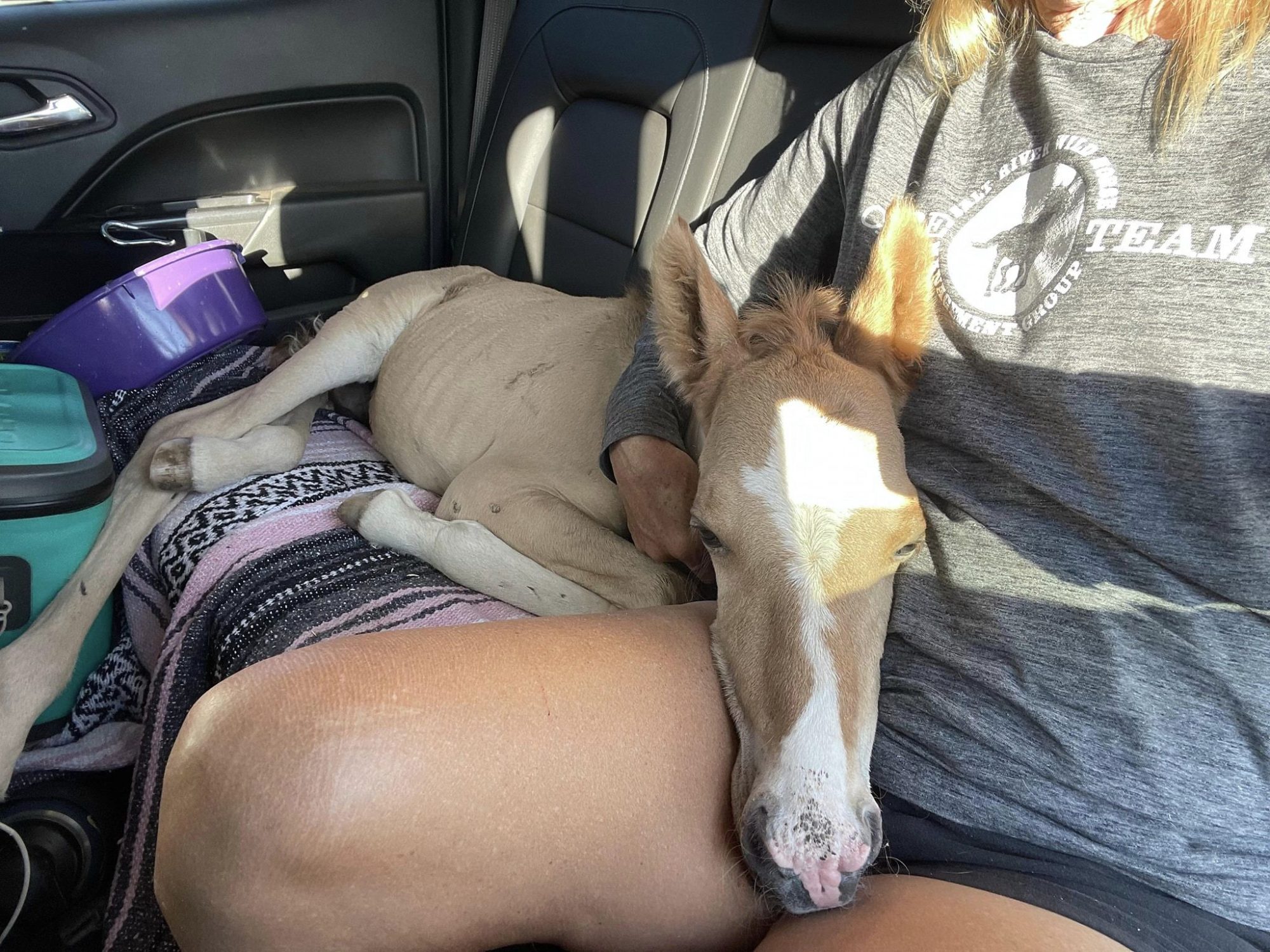 Little Alpine baby needed a little help and is doing much better now.