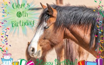 Happy Birthday 6th Birthday, Gem!