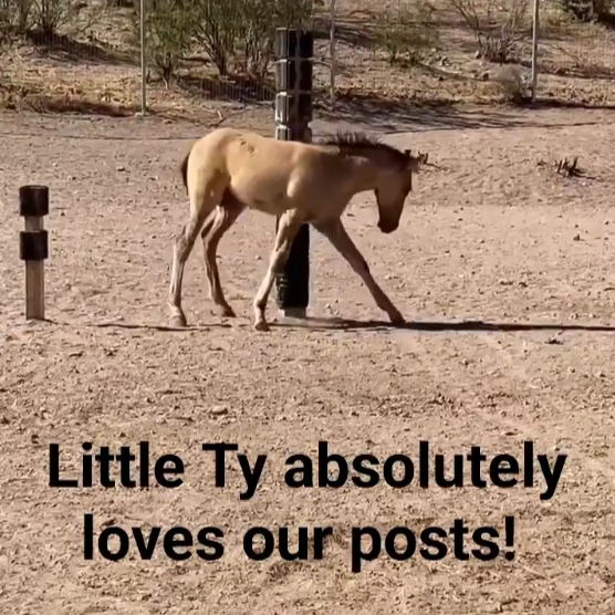 Do you love our posts? They are made with love!