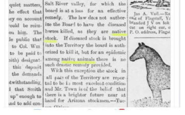 From our FAQ’s: Are the Salt River horses wild and native horses, or stray livestock/feral horses?