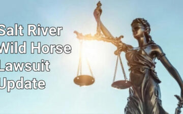 Salt River Wild Horse Lawsuit Update