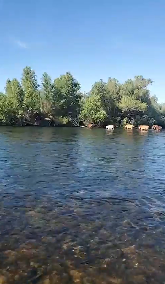 Live with a bunch of bands on the Salt River River!!