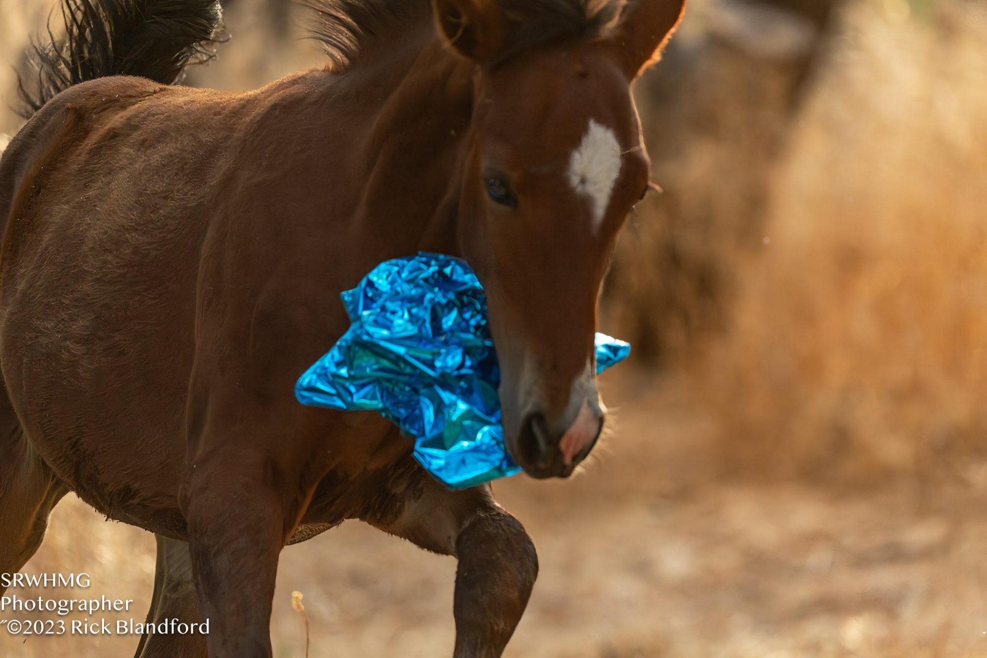 Picking up trash is not in the job description, but we do it anyways.