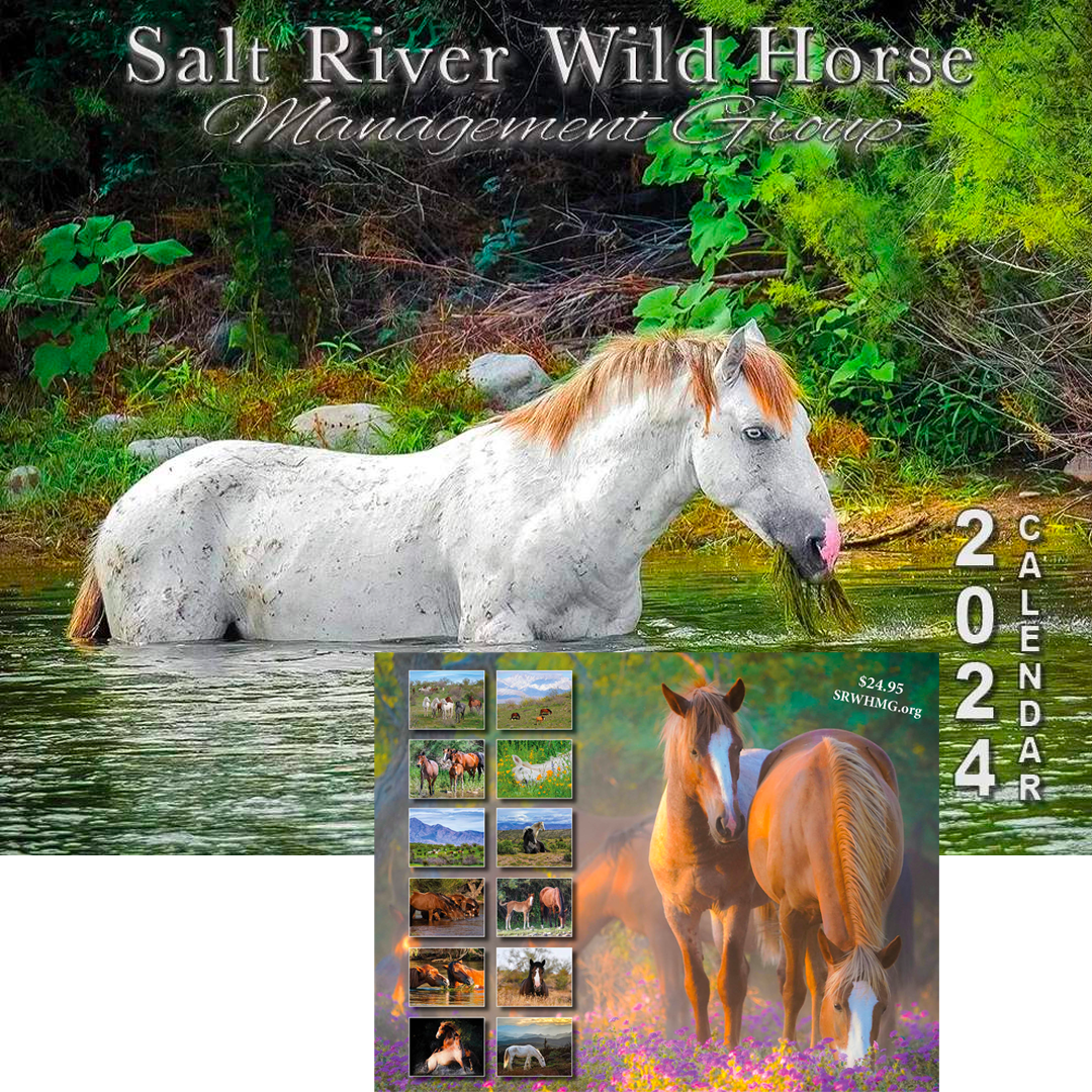 Today is National Horse day!