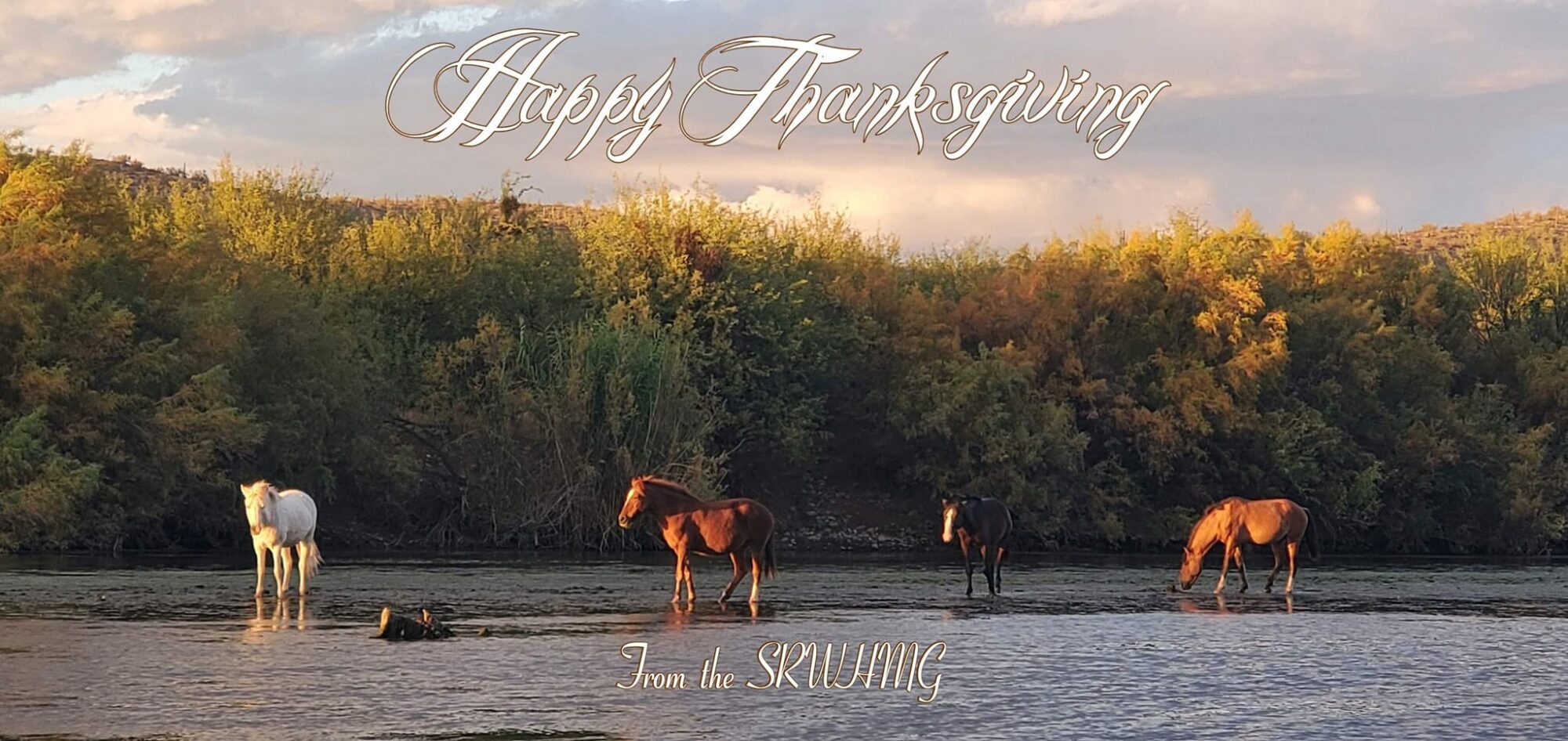 Happy Thanksgiving!