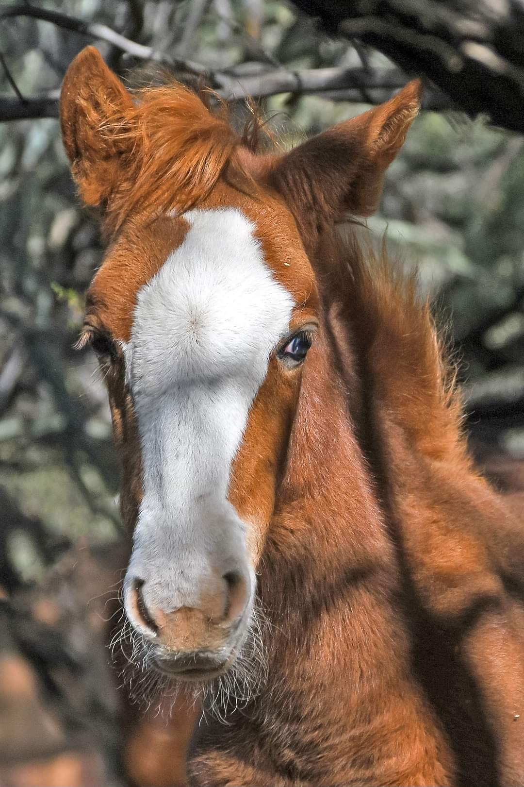 Mystery solved! Coriander’s eye color 💙