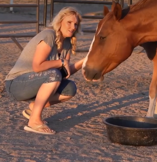 We’re still looking for good homes for Alpine wild horses!