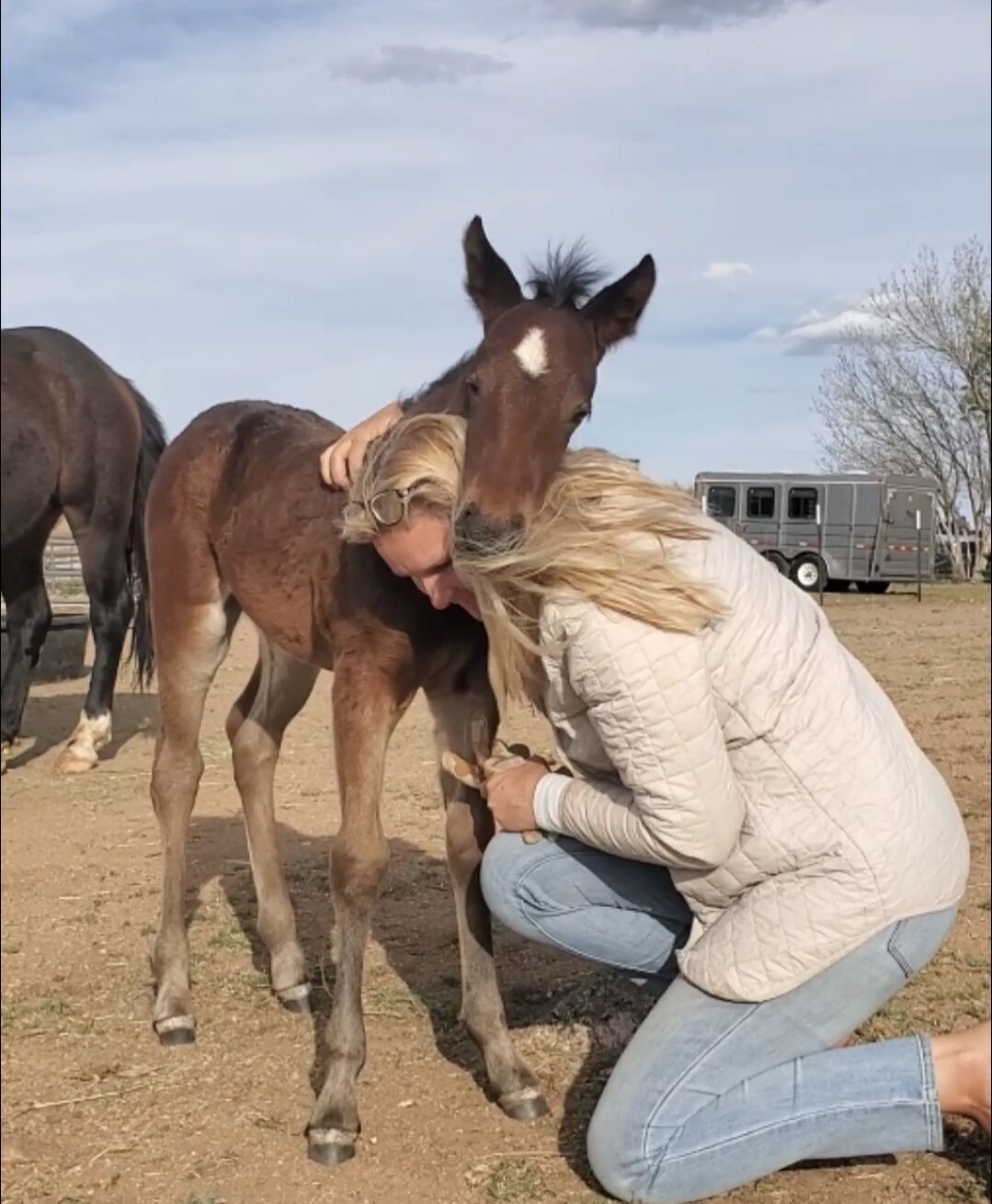 Read all about it and please share: The saga of the Alpine wild horses.