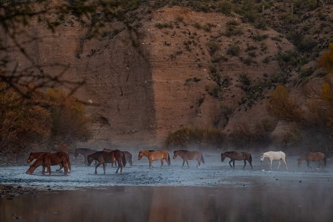 It was 28 degrees this morning on the Salt River, where freedom and tranquility still reign.