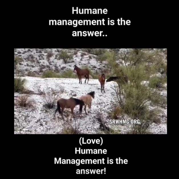 It’s 2024 now and humane management is the answer!