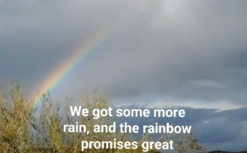 A rainbow promises great forage for the horses!