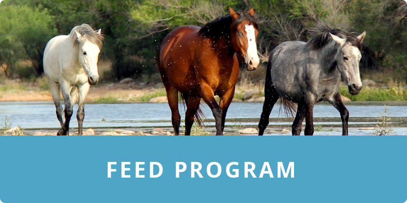 Feed Program