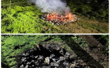 Humane management includes many different aspects, and so many different situations happen daily.