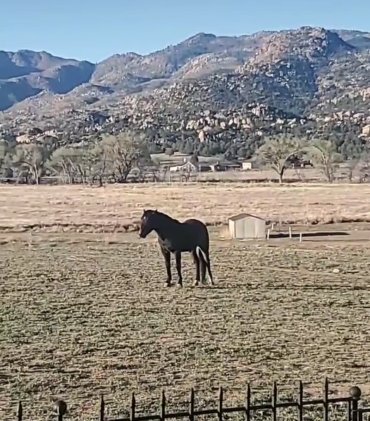 Good morning from Apache’s band in Prescott!