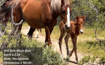 Exciting! Thank you all so much for voting on his name!