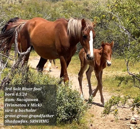 Exciting! Thank you all so much for voting on his name!