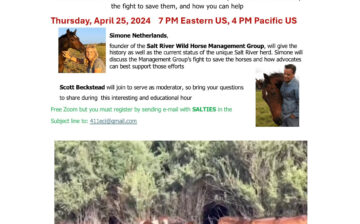 Watch Simone’s recorded interview with Equine Collaborative International!