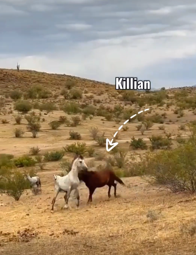 Killian is unstoppable!