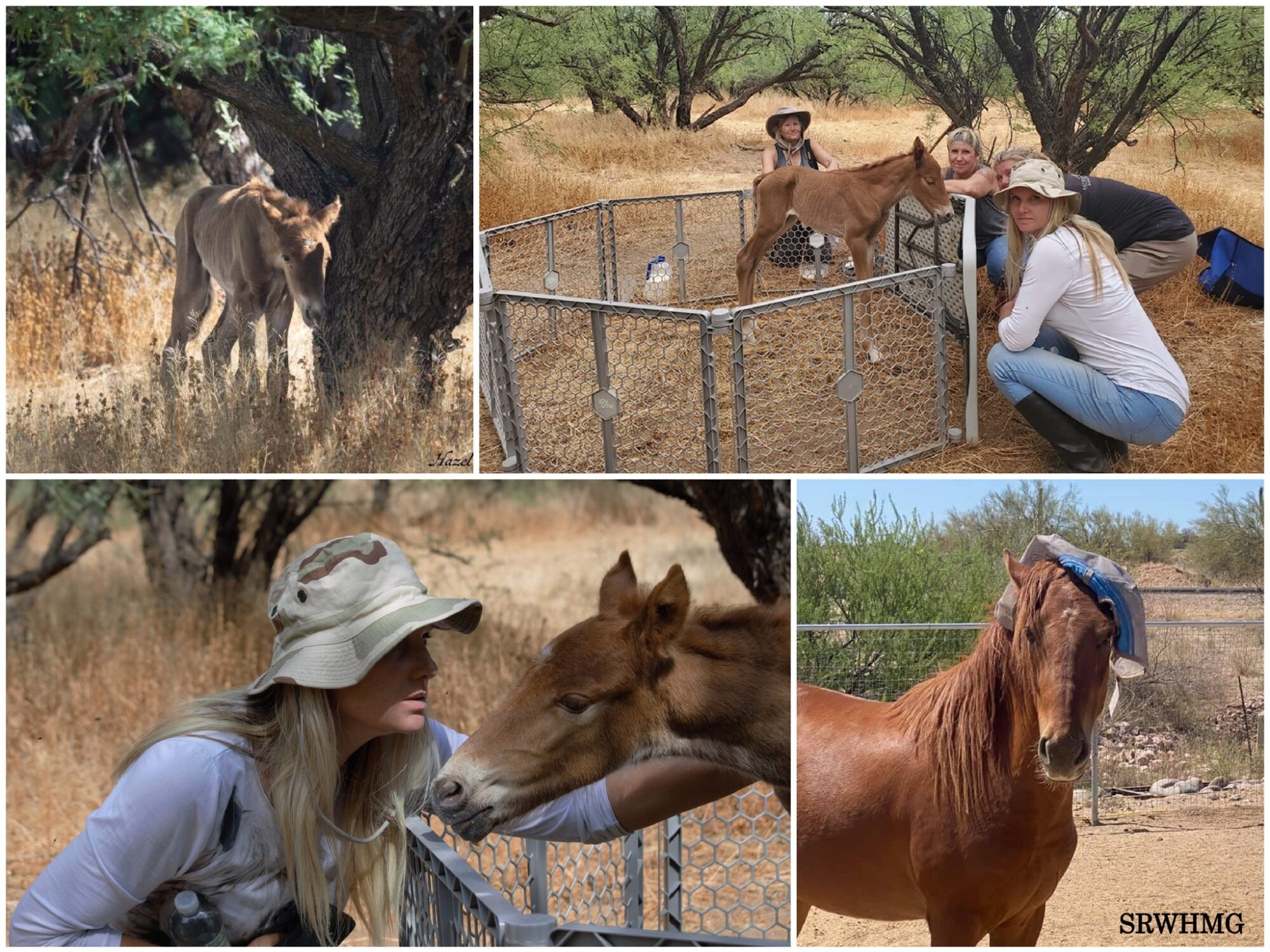 On this day 5 years ago, a story of love…..Peanut’s rescue story
